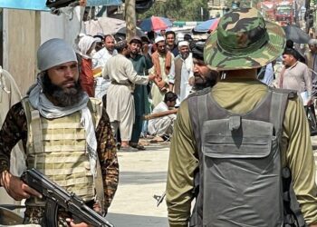 Pakistan, Afghanistan trade soars following Taliban takeover