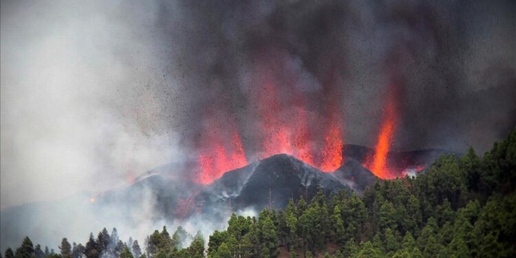 Volcano erupts on Spanish island for 1st time in 5 decades