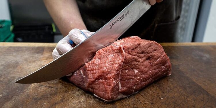 Rising meat prices fuel food inflation in US