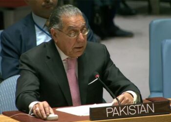 Pakistan says India poses security threat to peace and stability in South Asia