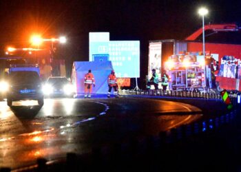 Swedish cartoonist known for anti-Islamic sketch killed in car accident