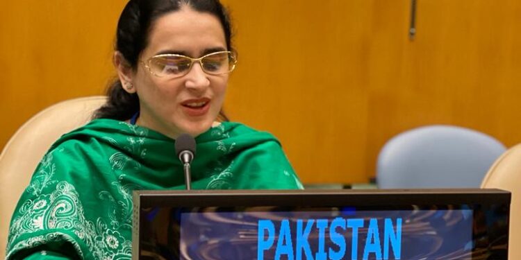 Extra-judicial killings, arbitrary detentions on surge in IOK