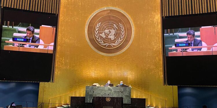 Pakistan hits UN over its silence on killing of Muslims in India, Kashmir