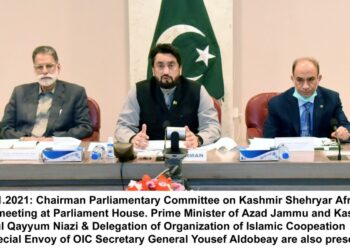 Pakistan urges OIC to consider economic sanctions against India for HR abuses in IOJK