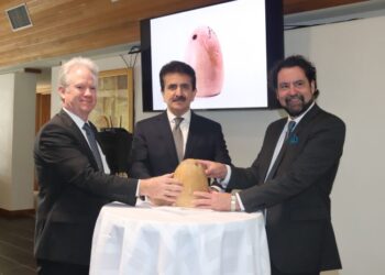 Australia returns illegally smuggled bronze-age stone to Pakistan