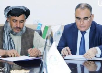 Afghanistan, Uzbekistan sign $100 million electricity import contract