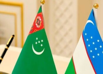 Foreign Ministries of Turkmenistan, Uzbekistan hold political consultations in Tashkent