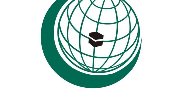 OIC shows concern on Kazakhstan nationwide demonstration