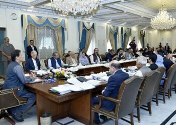 Imran Khan Govt on Its Last Legs: Maryam Nawaz