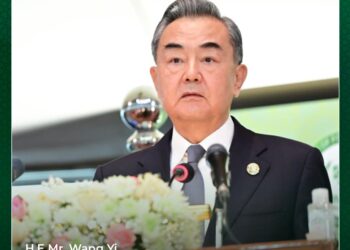 China Vows Support to Resolve Kashmir, Other Disputes using Islamic Wisdom: Wang Yi at OIC Moot
