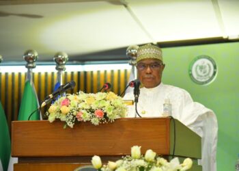 OIC Secretary-General Pledges to Continue Voicing Solidarity with Jammu and Kashmir