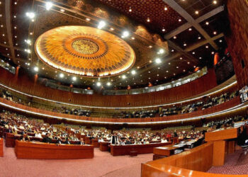 Fight Politically, Uphold the System