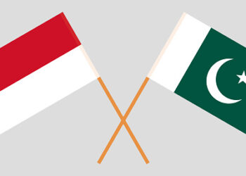 Pakistan, Indonesia agree to promote bilateral ties in diverse areas