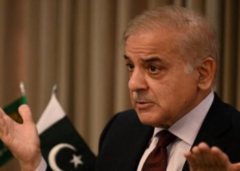 PM Sharif says Pakistan stands with Armed forces, laments ignoring of province’s role in implementing NAP