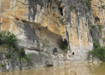 Prehistoric snake bones discovered in south China