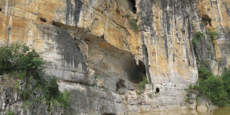 Prehistoric snake bones discovered in south China