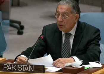 Pakistan urges UNSC to make ‘bold’ moves to implement its resolutions on Kashmir, Palestine