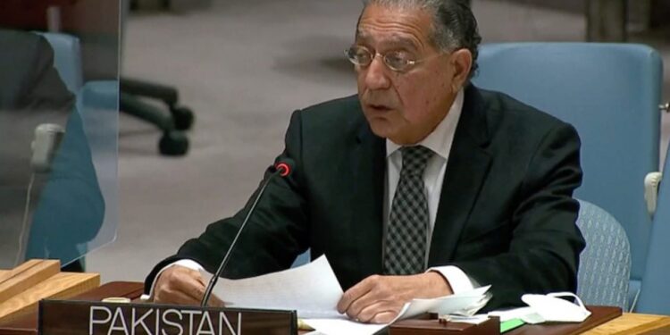 Pakistan urges UNSC to make ‘bold’ moves to implement its resolutions on Kashmir, Palestine