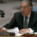 Pakistan urges UNSC to make ‘bold’ moves to implement its resolutions on Kashmir, Palestine