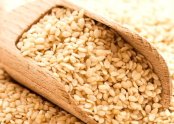 Chinese importers eyeing recovery of Pakistani sesame seed production