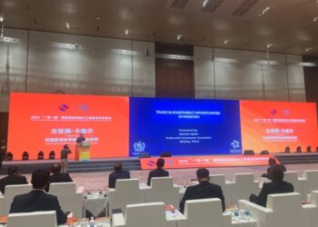 Top Chinese machinery manufacturers urged to relocate, develop industrial parks in Pakistan