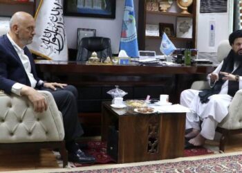 Turkish Companies Seeking Investment On Wind Power Plants in Afghanistan