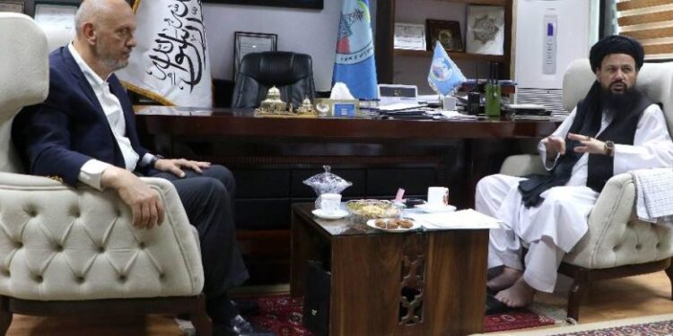 Turkish Companies Seeking Investment On Wind Power Plants in Afghanistan