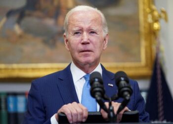 ‘Steady progress’ being made on US debt deal: White House