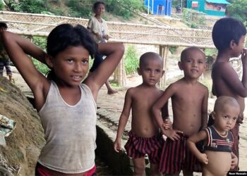 UN urgently appeals for int’l support for Rohingya Muslims facing cuts in food aid
