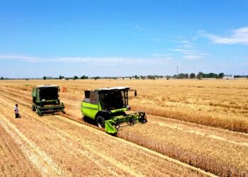 Wheat harvest nearing completion in China’s Henan