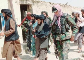 Border Protection IEA Main Responsibility: Military