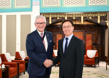 Chinese vice president meets City of London mayor