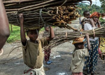 One in every 10 children works – instead of going to school: UN agency