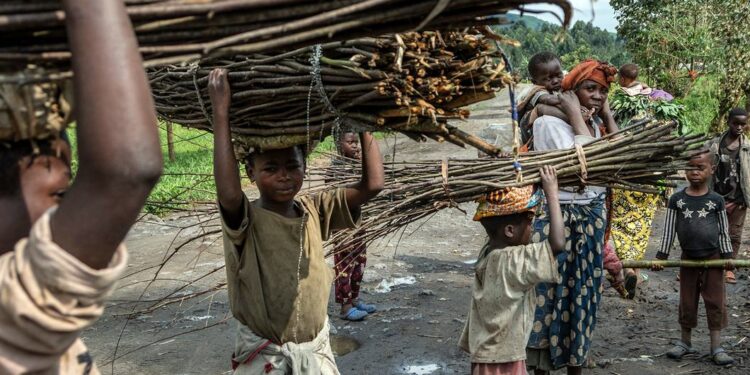 One in every 10 children works – instead of going to school: UN agency