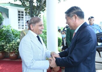 PM Shehbaz, Chinese Vice-Premier discuss bilateral ties, cooperation