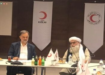 Turkey Ready to Provide Medical Treatment for Afghan Children Suffering Heart Hole