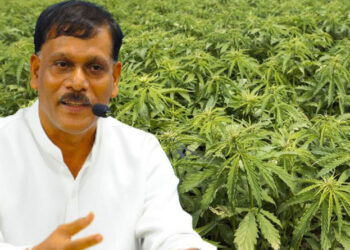 Sri Lanka plans int’l conference on indigenous medicine