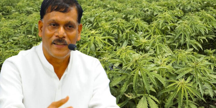 Sri Lanka plans int’l conference on indigenous medicine