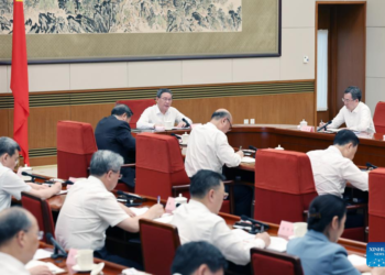 China premier stresses faster development of digital economy