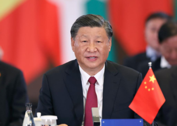 Xi urges China, Africa to join hands for modernization