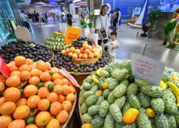 China, Africa trade sees steady growth in Jan-July