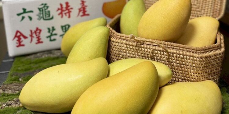 China suspends mango imports from Taiwan