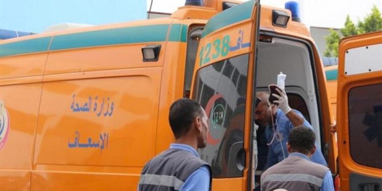Morocco minibus plunge kills 24