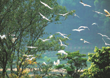 China expedites legislation on eco-environmental protection