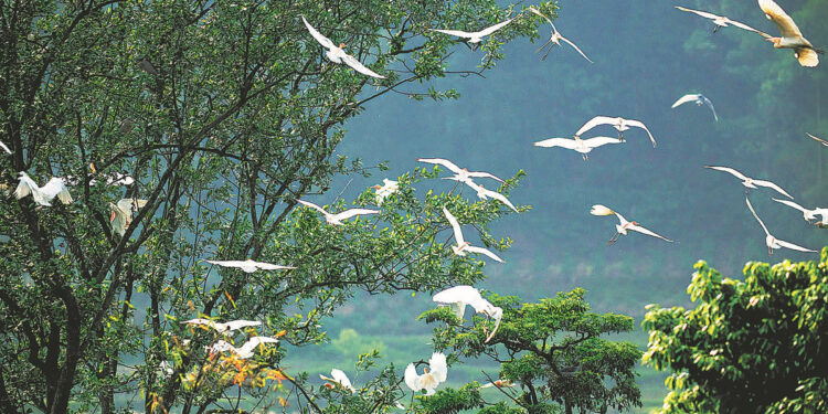 China expedites legislation on eco-environmental protection