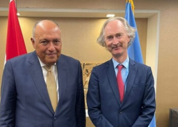 Egyptian FM, UN envoy discuss Syrian crisis