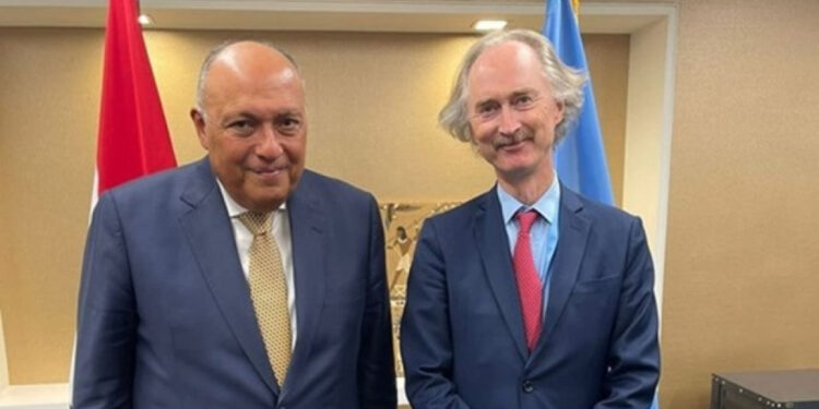 Egyptian FM, UN envoy discuss Syrian crisis