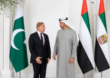 UAE working to sign a Comprehensive Economic Partnership Agreement with Pakistan: Envoy