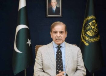 Global action a must to save faultless countries like Pakistan from climate disaster: PM