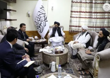 Afghan interim FM meets envoys in Qatar